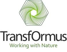 Transformus Team